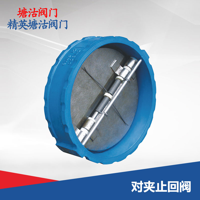 對夾止回閥